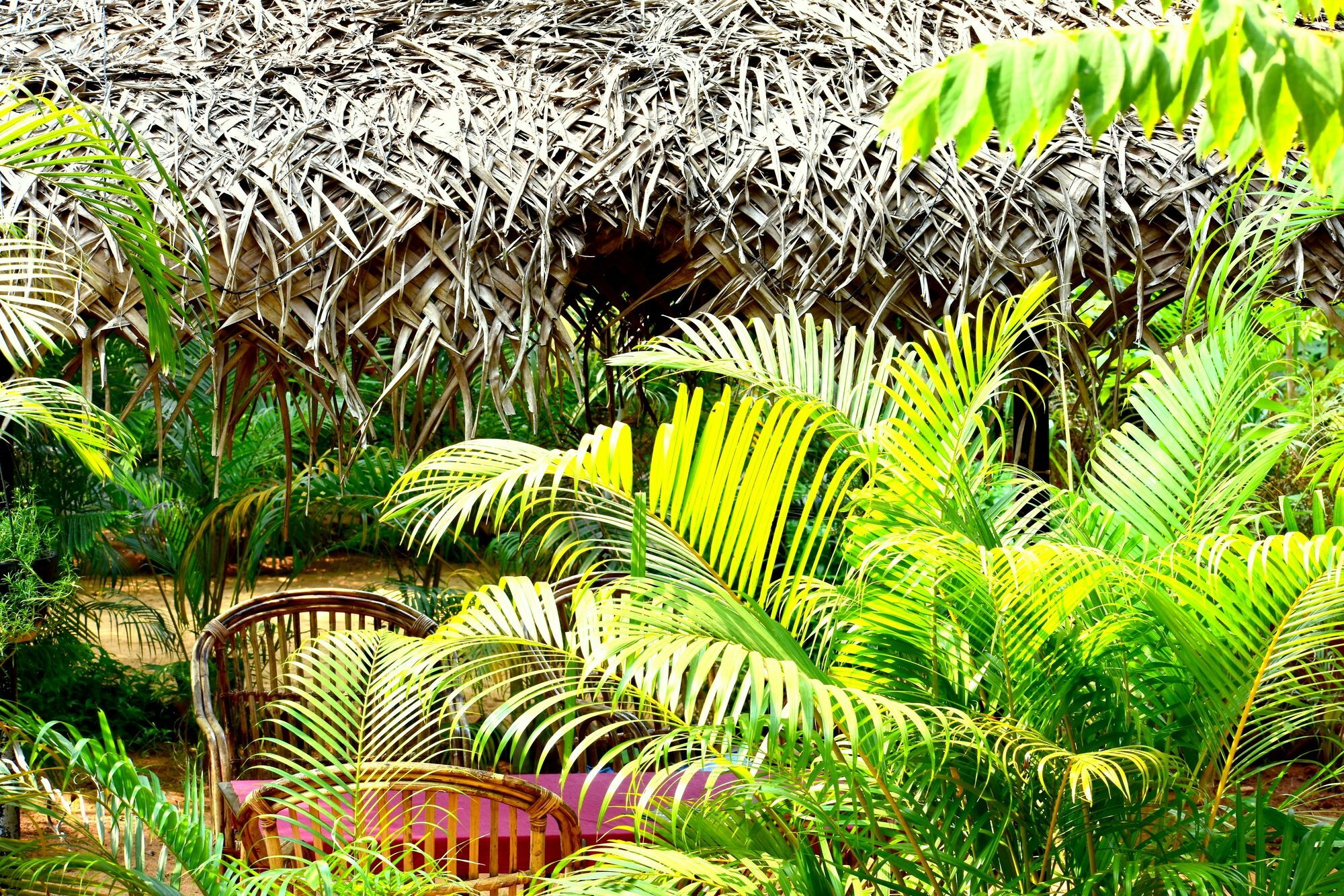 Patnem Garden Resort Patnem Beach Екстер'єр фото